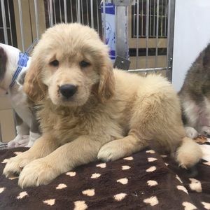 Meet your Posher, Ania